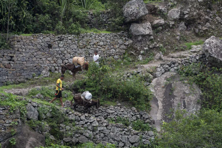 wandelingen santo antao ezels
