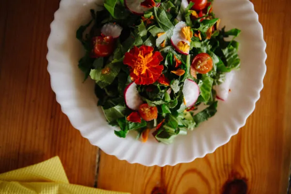 Een bord met een verse groene salade, radijsjes, kerstomaatjes en eetbare bloemen bij Restaurant O Curral op Santo Antão, Kaapverdië.