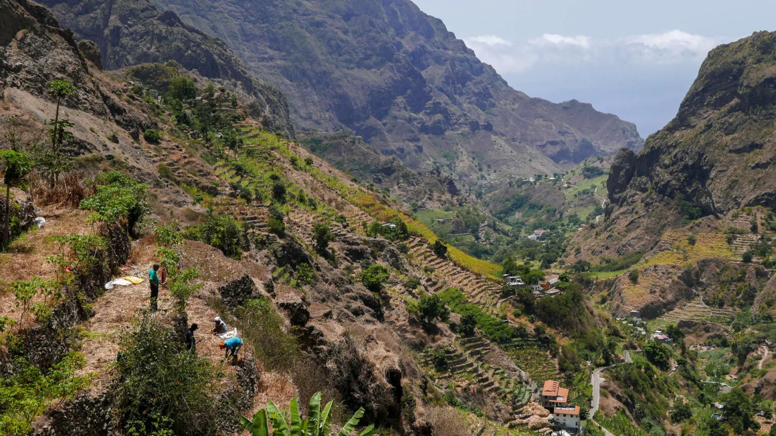 Uitgestrekt uitzicht over de steile, groene bergwanden en landbouwterrassen in de Paúl-vallei op Santo Antão, Kaapverdië.