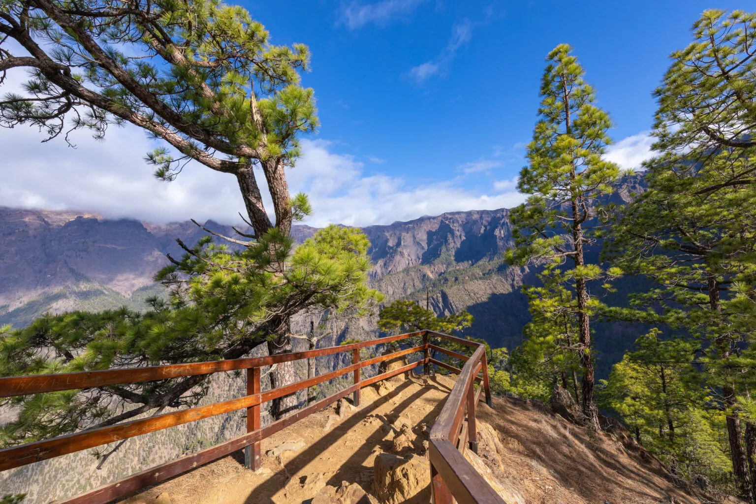 Een zandpad met houten omheining tussen groene dennenbomen, leidend naar een panoramisch uitzichtpunt over de krater van Caldera de Taburiente.