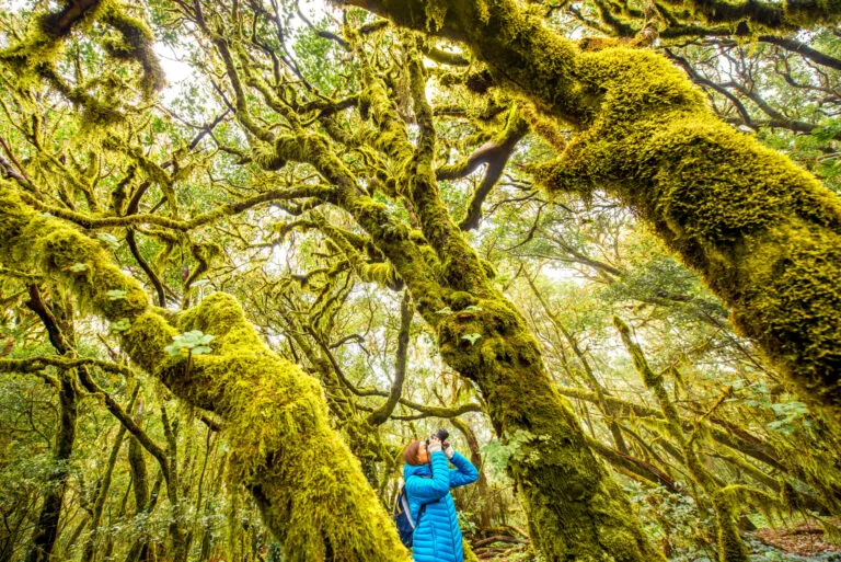 Garajonay National Park met een dame die een foto maakt