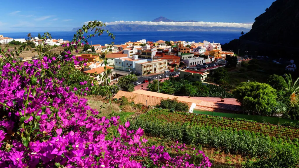 Bloemen in Agulo op het eiland La Gomera
