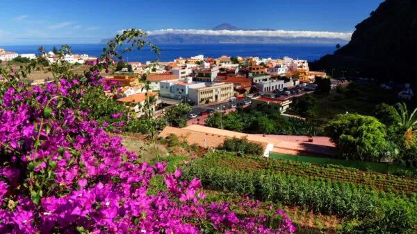 Bloemen in Agulo op het eiland La Gomera