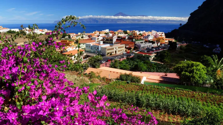 Bloemen in Agulo op het eiland La Gomera