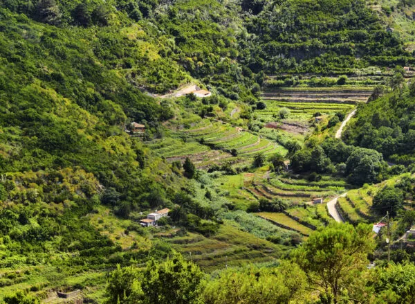 Groene landbouwterrassen op de steile hellingen van de Vallehermoso vallei op het Canarische eiland La Gomera