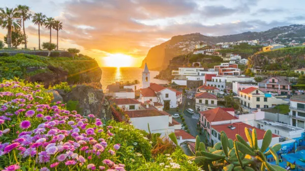 Het vissersdorp Câmara de Lobos met een kerktoren, roze bloemen op de voorgrond en een gouden zonsondergang over de kust van Madeira