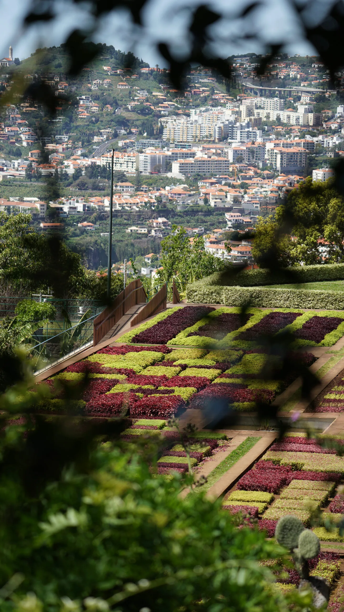 Geometrisch patroon van rode en groene planten in de Botanische Tuin met op de achtergrond de stad Funchal op Madeira