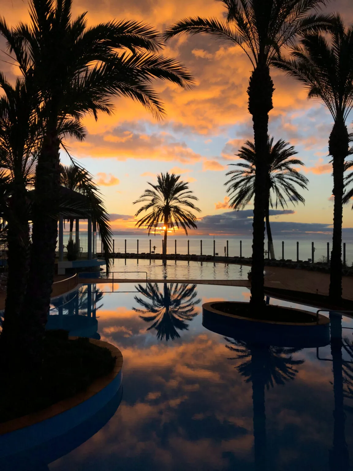 Silhouetten van palmbomen weerspiegelen in het water van een zwembad bij een resort aan de kust van Funchal, tijdens een oranje zonsondergang boven de oceaan.