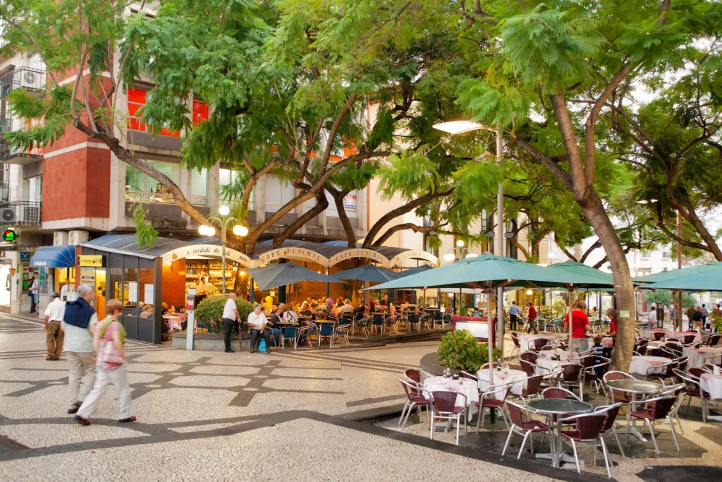 Een geplaveid plein in Funchal met gedekte terrastafels onder parasols en het bladerdek van grote groene bomen.