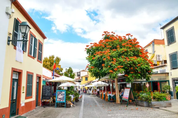 Sfeervolle wandelstraat in Funchal met gezellige terrasjes onder parasols en een opvallende boom met oranje-rode bloemen