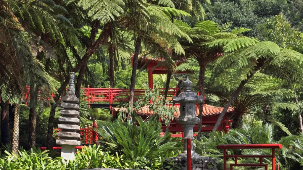 Een Japanse brug en rode oosterse accenten te midden van weelderige boomvarens en groene beplanting in de Monte Palace Tropical Garden in Funchal op Madeira.