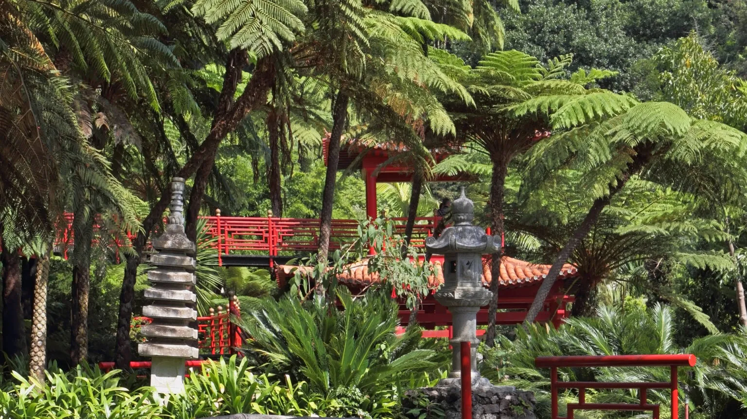Een Japanse brug en rode oosterse accenten te midden van weelderige boomvarens en groene beplanting in de Monte Palace Tropical Garden in Funchal op Madeira.
