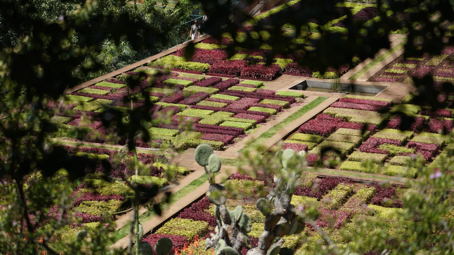 Kleurrijk geometrisch mozaïek van rode en groene planten met cactussen op de voorgrond in de Botanische Tuin van Funchal op Madeira
