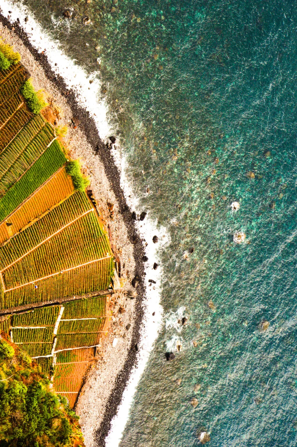 Bovenaanzicht van de smalle terrassenvormige landbouwakkers (fajãs) direct aan de rotsachtige kust en de oceaan bij Cabo Girão op Madeira.