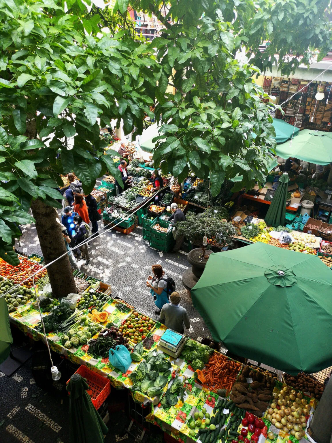 Bovenaanzicht van marktkramen met vers fruit, groene parasols en bomen in de open overdekte hal van Mercado dos Lavradores op Madeira.
