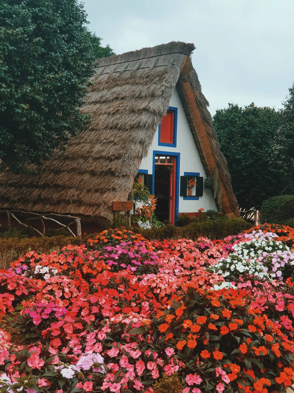 Driehoekig traditioneel huisje met een rieten dak en rood-blauwe gevel, omgeven door een kleurrijk bloemenbed in Santana op Madeira