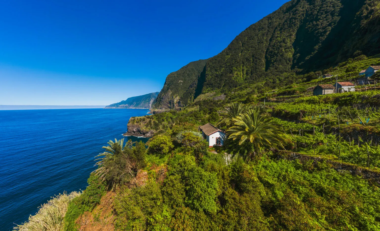 Panoramisch zicht op groene wijngaarden en een huisje op een klier aan de steile kustlijn van Seixal op Madeira, grenzend aan de blauwe oceaan.