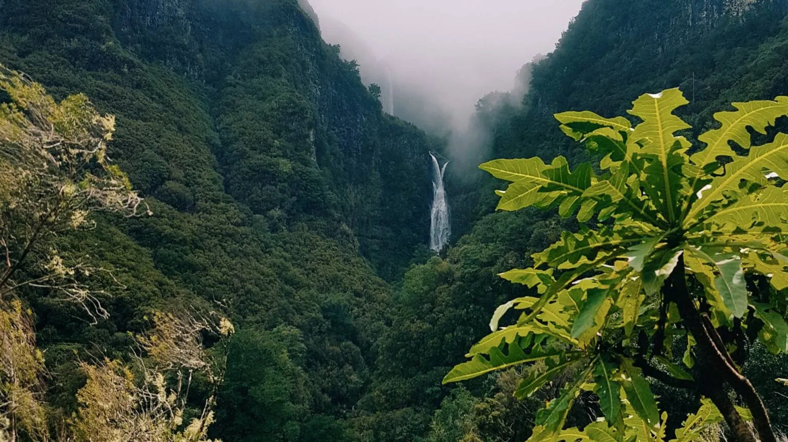 Een hoge waterval stroomt naar beneden tussen dichtbegroeide, groene bergwanden en een mistige hemel in de vallei van Rabaçal op Madeira.