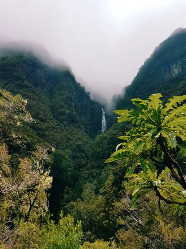 Een slanke waterval stroomt tussen steile, dichtbegroeide bergen die gehuld zijn in mist in de vallei van Rabaçal op Madeira.
