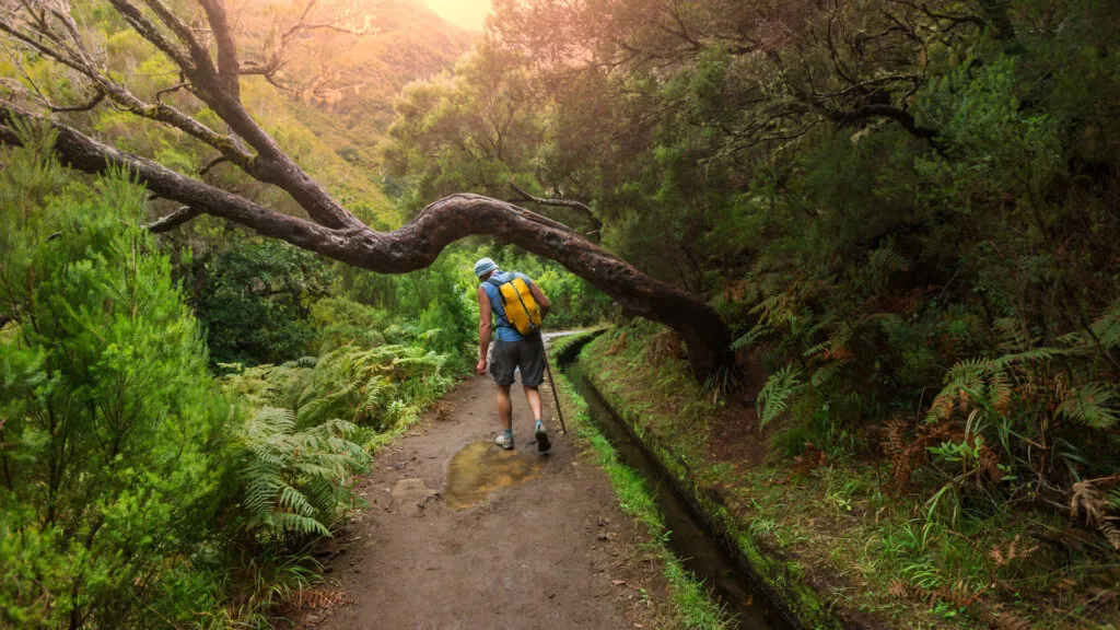 Wandelaar hikend door de Lavadas op Madeira