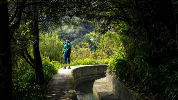 Een wandelaar met rugzak staat stil op het pad langs een smalle levada, omringd door dichte groene bomen en vegetatie op Madeira.