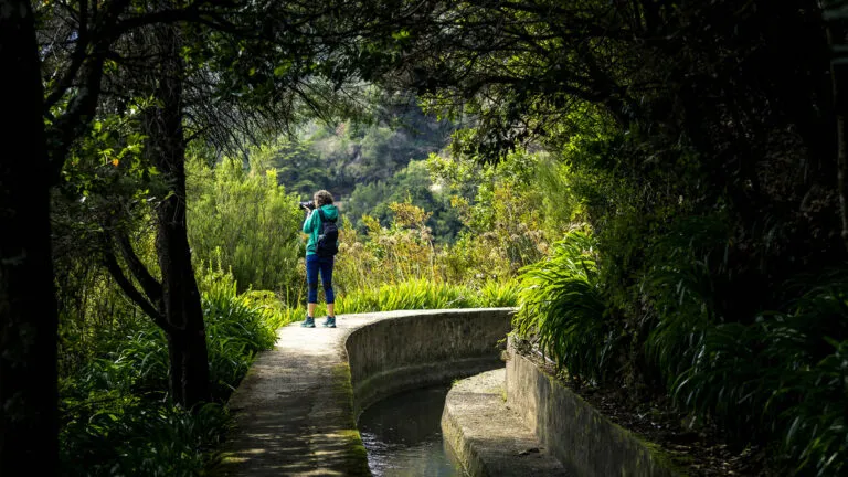 Madeira Route Levada Wandeling Wandelen Reiziger