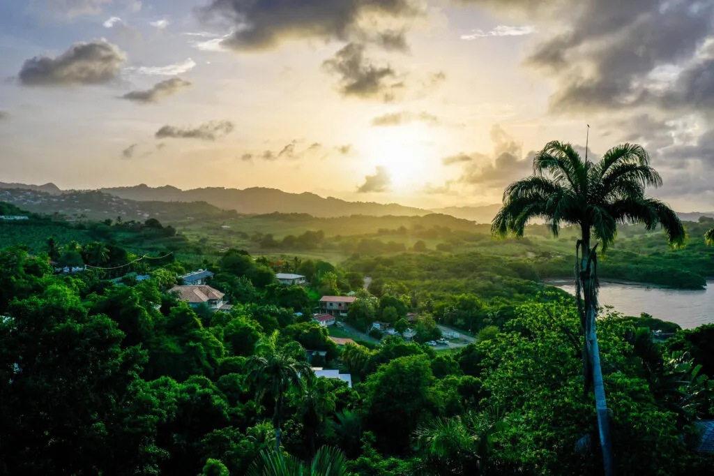 Landschapsfoto van het weelderige, heuvelachtige binnenland van Plein-Soleil op Martinique, met een opvallende hoge palmboom op de voorgrond bij zonsondergang en glooiende bergen in het goudgele licht.