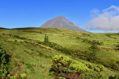 Pico Vulkaan Uitzicht Natuur Groen Ponta do Pico