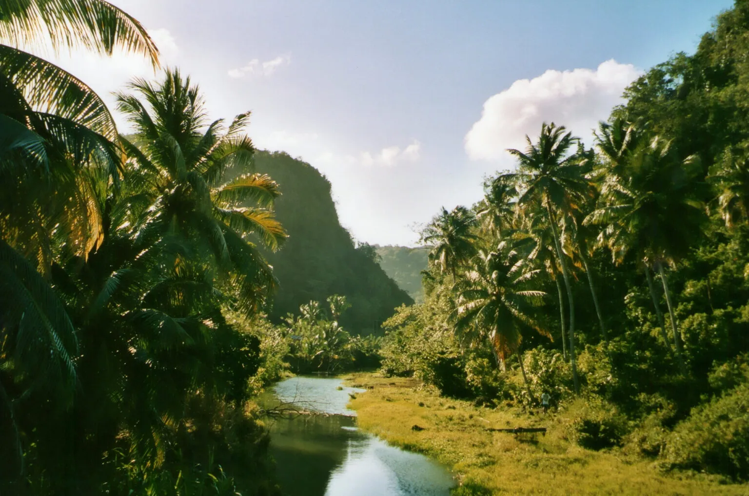 Zicht op een kronkelende rivier door het dichtbegroeide, groene binnenland van Saint Lucia, omgeven door hoge palmbomen en een jungleachtig berglandschap onder een zonnige lucht.