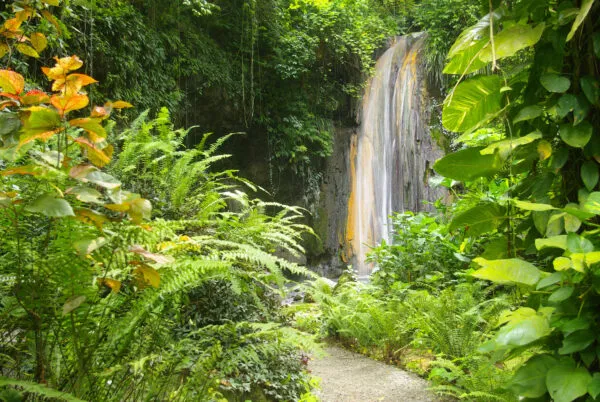 Zicht op de Diamond Falls-waterval bij Soufrière op Saint Lucia, waar mineraalrijk water langs een verkleurde rotswand naar beneden stroomt, omgeven door een weelderige tropische botanische tuin.