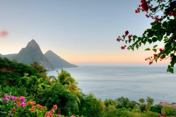 Schilderachtig uitzicht op de twee Pitons-vulkaanpieken en de Caribische Zee op Saint Lucia bij zonsopgang, omlijst door weelderige tropische vegetatie en roze bloemen op de voorgrond.