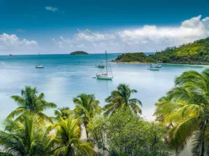Uitzicht op zeilboten in de helderblauwe baai met palmbomen van het Mayreau-strand