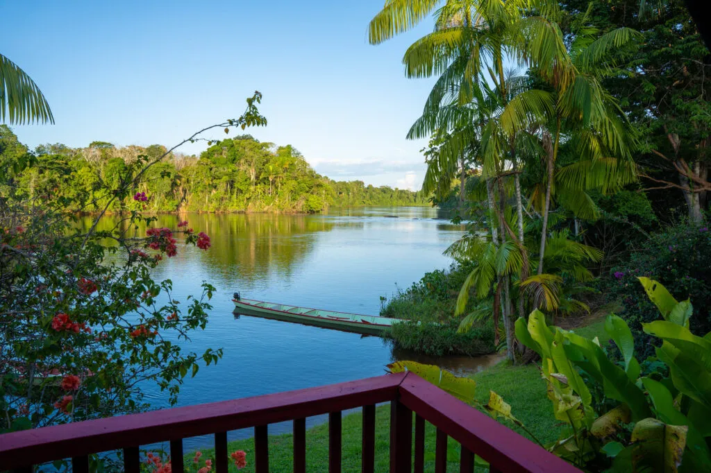 Uitzicht vanaf een houten terras van eco-resort Danpaati op de rustige Boven-Surinamerivier, omgeven door weelderige palmbomen en tropische vegetatie in Suriname.