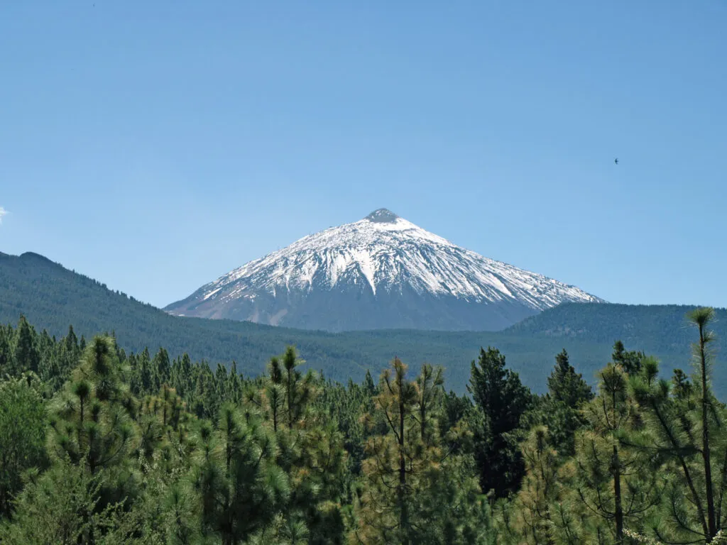 Tenerife met Teide vulkaan en bomen op voorgrond