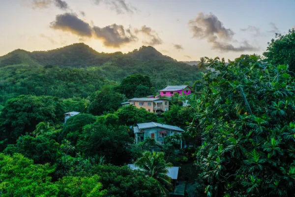 Kleurrijke huizen liggen verscholen tussen het weelderige groen van de heuvels in het binnenland van Tobago.