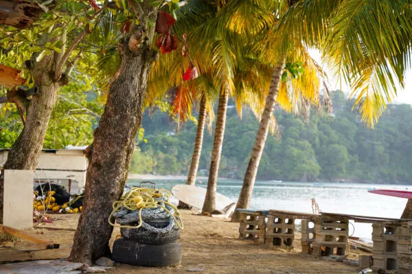 Kustgezicht op het strand van Charlotteville op Tobago met palmbomen, opgestapelde autobanden bij een stam op de voorgrond en een rustige baai met groenbegroeide heuvels op de achtergrond.