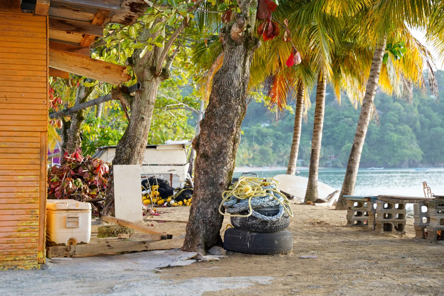 Sfeervolle opname van een rustig zandstrand in Charlottesville op Tobago, met schaduwrijke palmbomen en een houten bootje onder de bomen langs de waterkant.