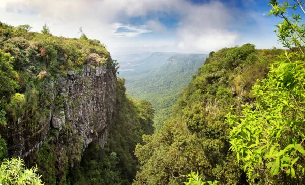 Indrukwekkend uitzicht over een groen, begroeid ravijn en de laaggelegen bossen vanaf het uitzichtpunt God's Window langs de Panoramaroute in Zuid-Afrika.