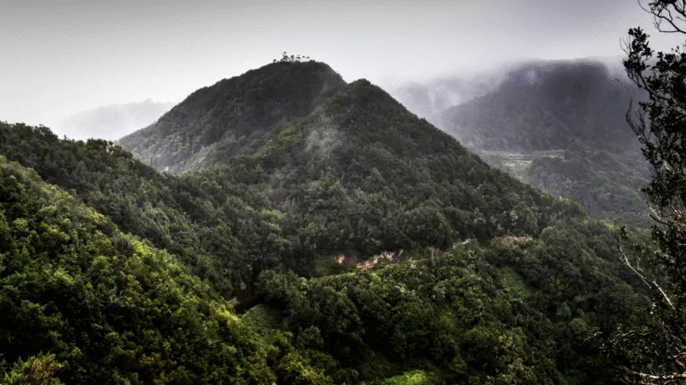 Parque Rural De Anaga zicht op de Bergen