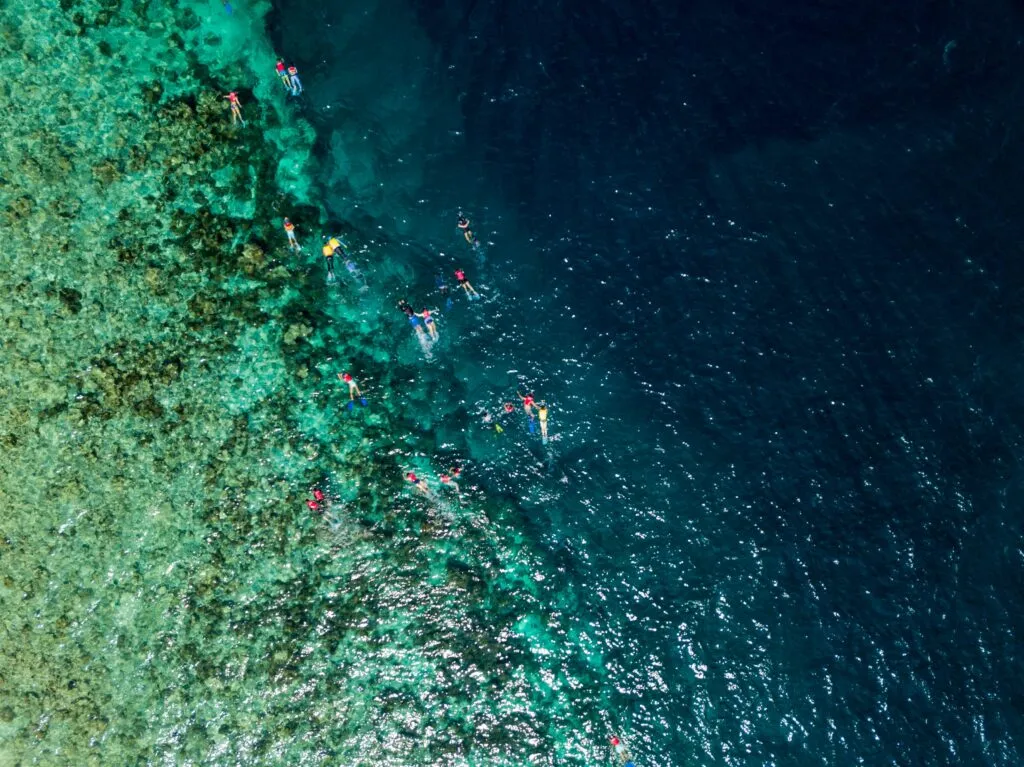 Snorkelende mensen in de zee
