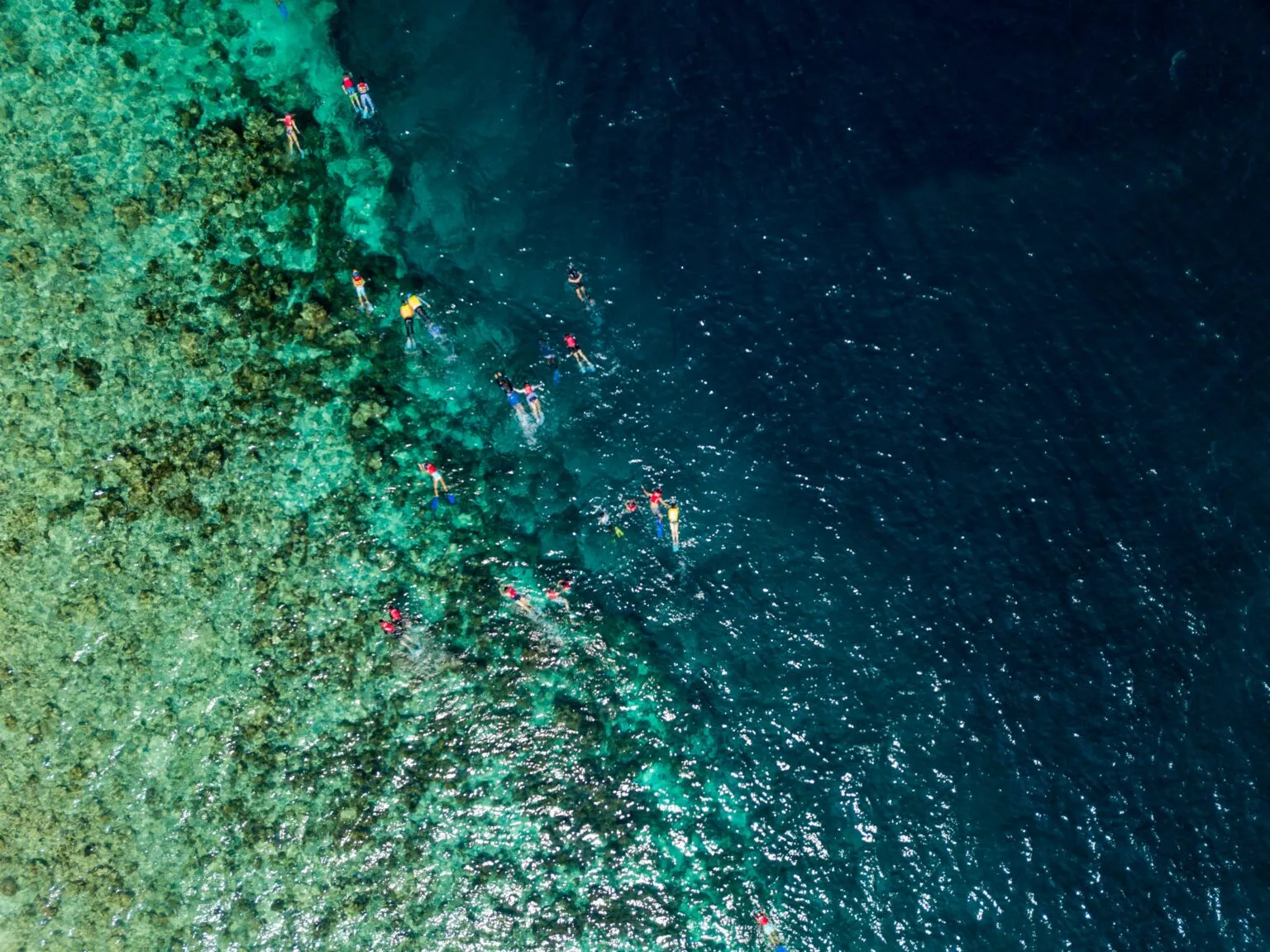 Snorkelende mensen in de zee