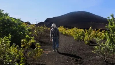 Een lokale gids loopt tussen de wijnranken op de flanken van de Pico do Fogo, Kaapverdië