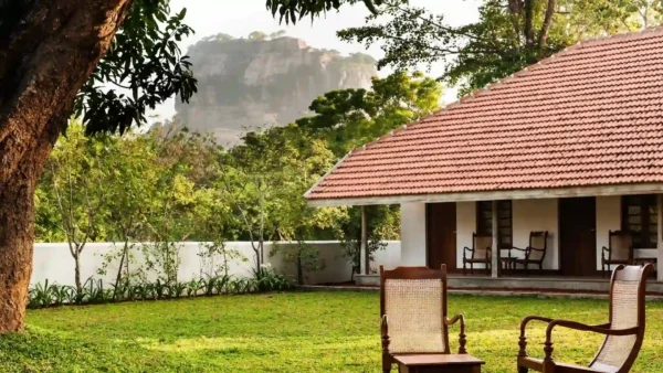 Een groen gazon met houten stoelen voor een hotel gebouw met rood pannendak, met de Sigiriya-rots op de achtergrond.