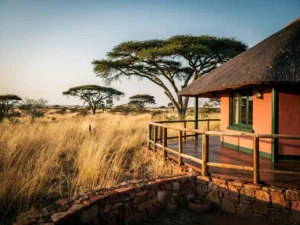 Rieten eco-lodge tussen gouden savannegrassen en acacia's in Zuid-Afrika, met houten terras in gouduur licht.