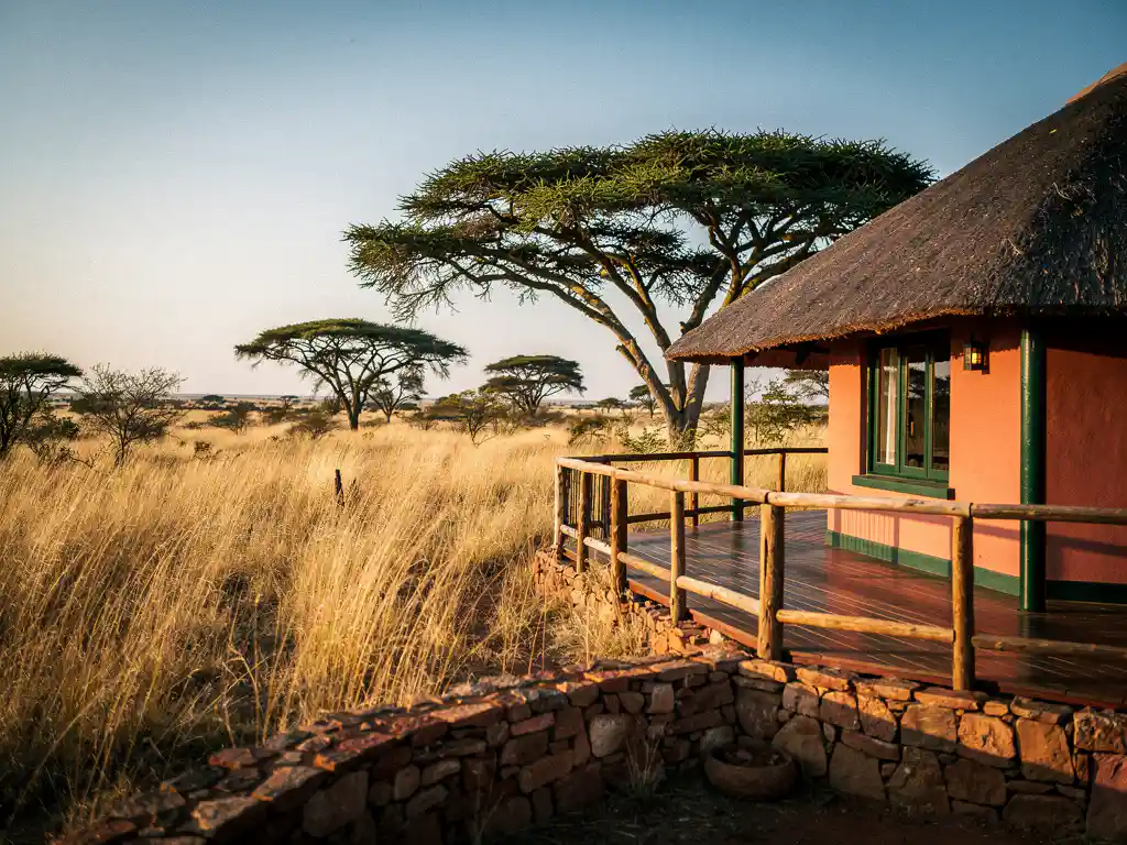 Rieten eco-lodge tussen gouden savannegrassen en acacia's in Zuid-Afrika, met houten terras in gouduur licht.