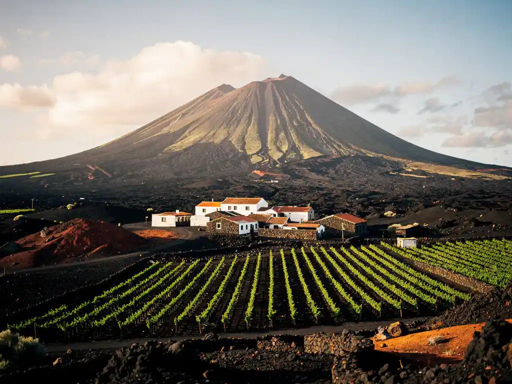 Pico do Fogo vulkaan boven zwart lavaveld met witgekalkt dorp en groene wijngaarden in het late middaglicht, Kaapverdië.