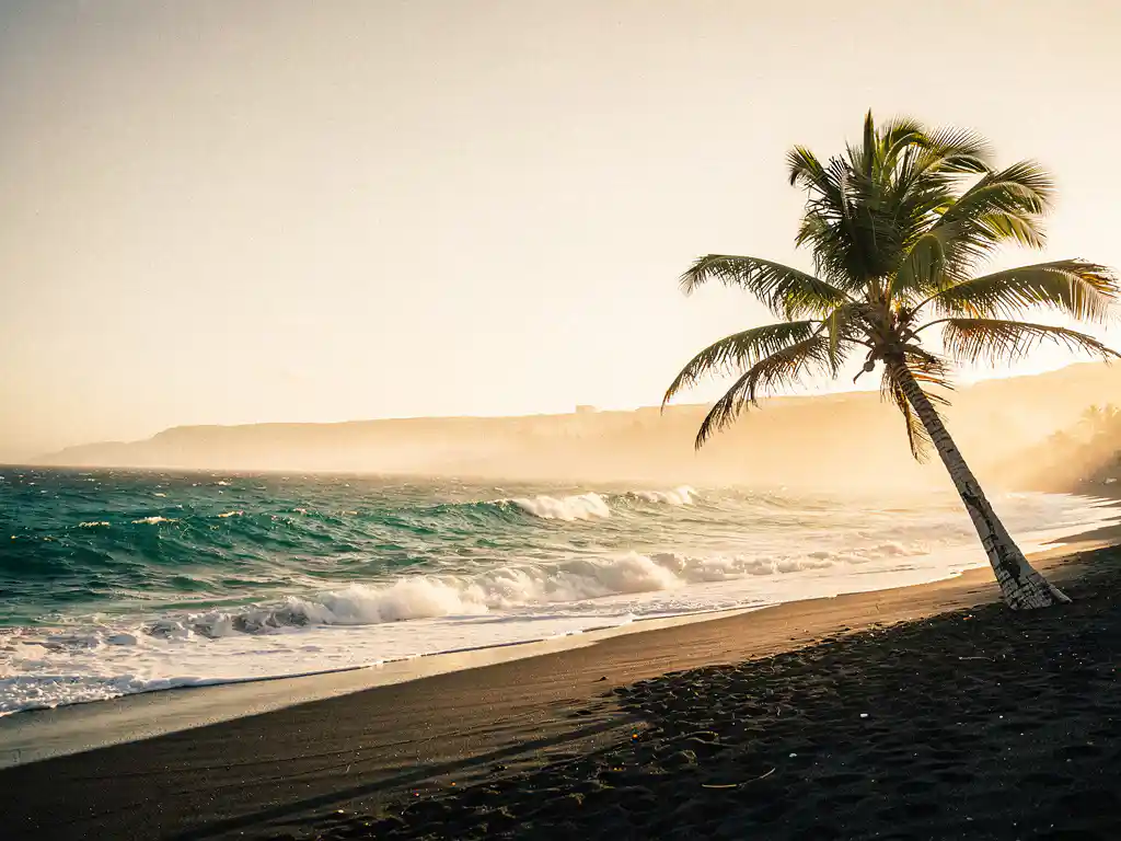 Vulkanisch zwart zandstrand op de Atlantische Oceaan met turquoise golven, een verweerde palmboom en een gouden horizon.
