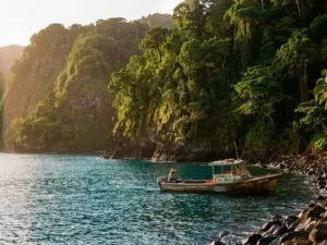 Groene vulkanische kustlijn van Dominica met junglekliffen boven turquoise Caribisch water en een klein houten vissersbootje.