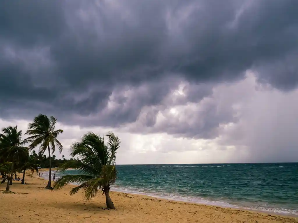 Tropisch strand op Guadeloupe met turquoise Caribisch water, palmbomen in opkomende wind en dreigende stormwolken boven de gouden kust.