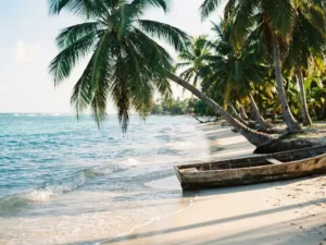 Wit zandstrand op Guadeloupe met turquoise Caribisch water, weelderige palmbomen en een houten pirogue op de oever in gouden zonlicht.